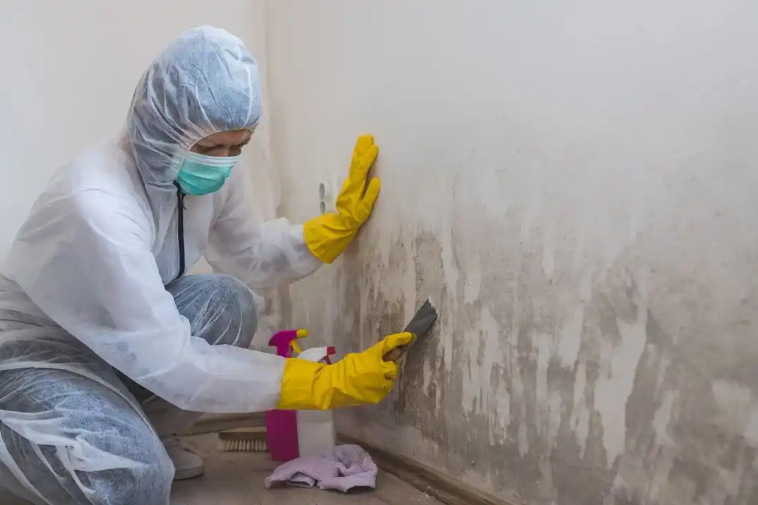 water damage restoration service The Ranch
